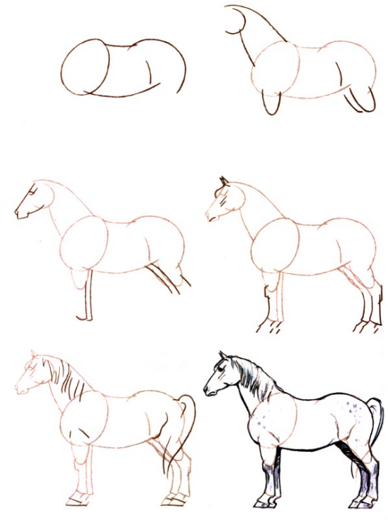 comment dessiner un cheval en 6 etape