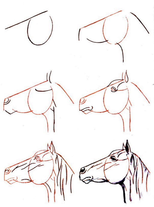 comment dessiner cheval